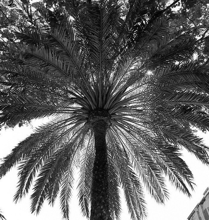 Хостинг картинок yapx.ru