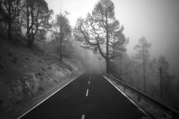 Хостинг картинок yapx.ru