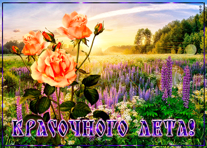 Виртуальная открытка лето Виртуальная открытка лето