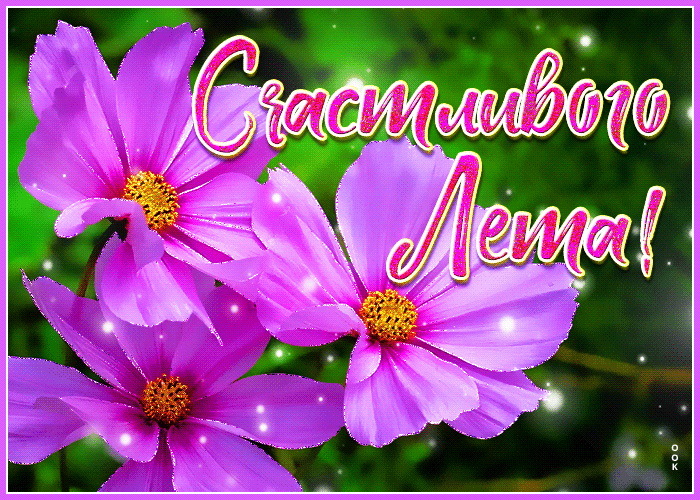 Гифка Отличного лета и незабываемых приключений. Гифка Отличного лета и незабываемых приключений.