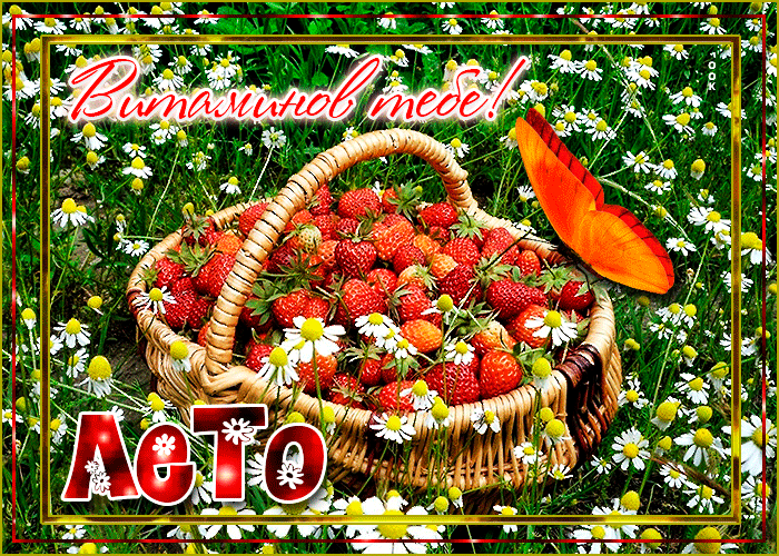 Классная открытка с летом Классная открытка с летом