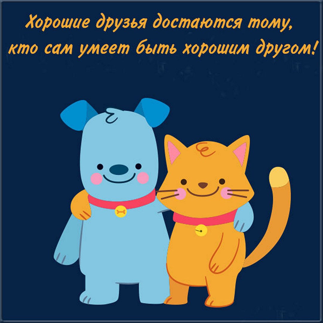 Дружеская картинка. Дружеская картинка.