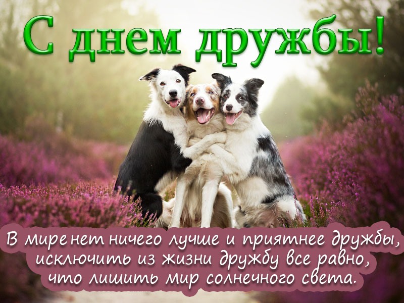 Картинки Международный День Друзей 2023. Картинки Международный День Друзей 2023.