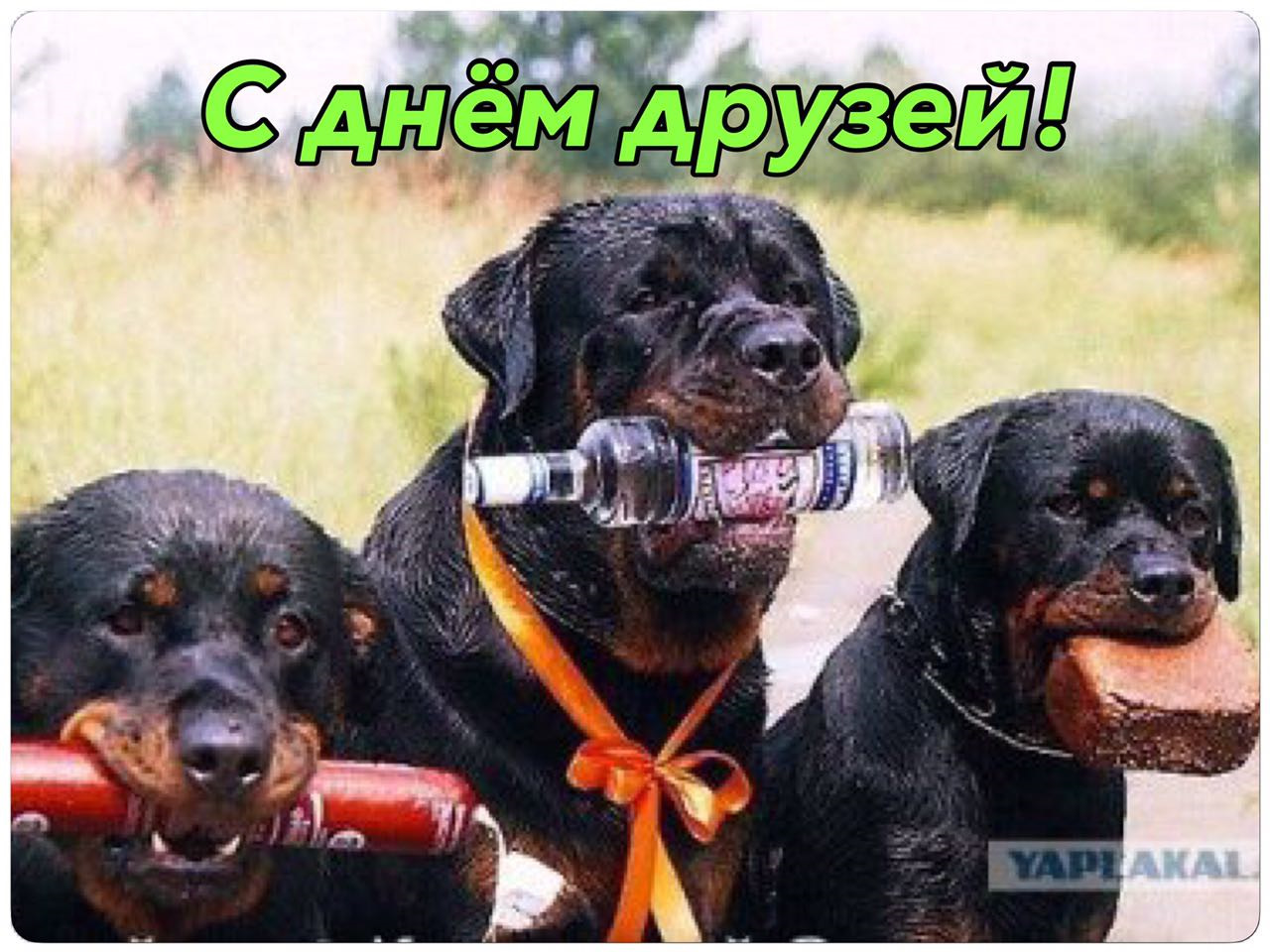 С Днем Лучших Друзей Картинки. С Днем Лучших Друзей Картинки.