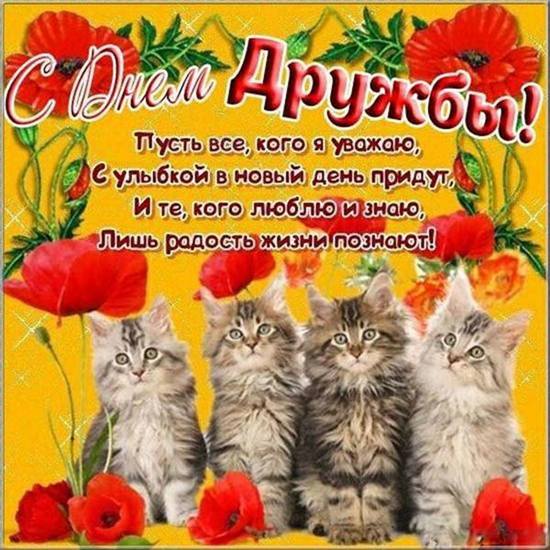 Прикольные картинки к Международному дню дружбы. Прикольные картинки к Международному дню дружбы.