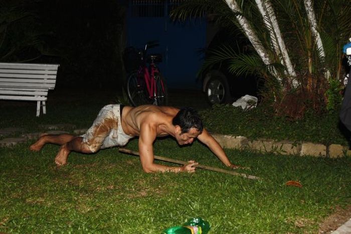 Хостинг картинок yapx.ru