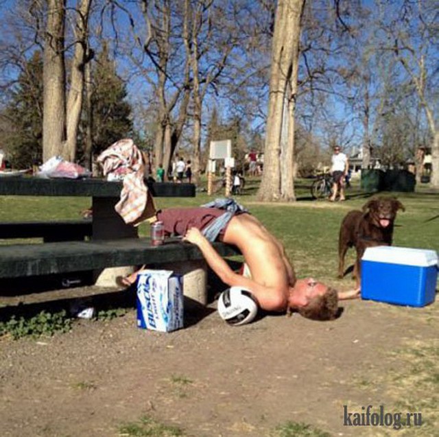 Хостинг картинок yapx.ru