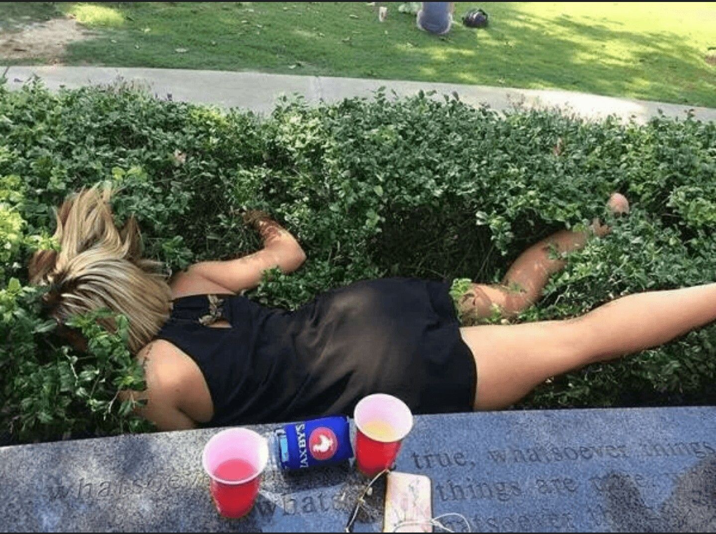 Хостинг картинок yapx.ru