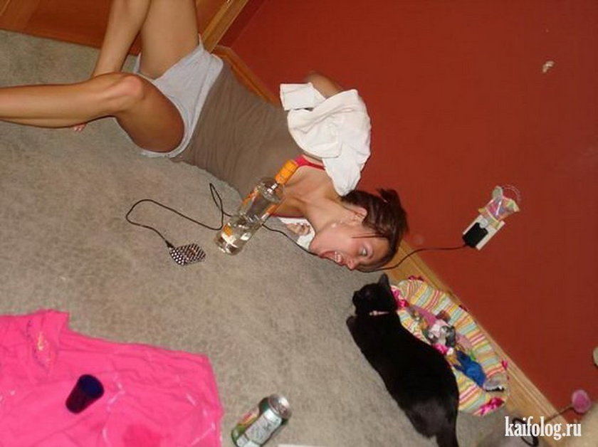 Хостинг картинок yapx.ru