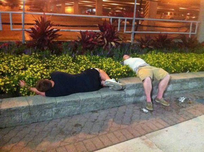 Хостинг картинок yapx.ru