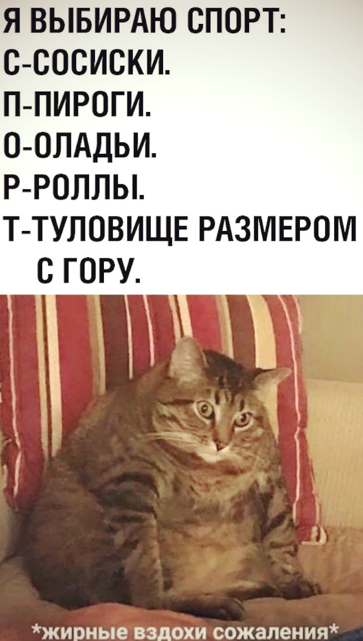 Жирные вздохи сожаления кот Жирные вздохи сожаления кот