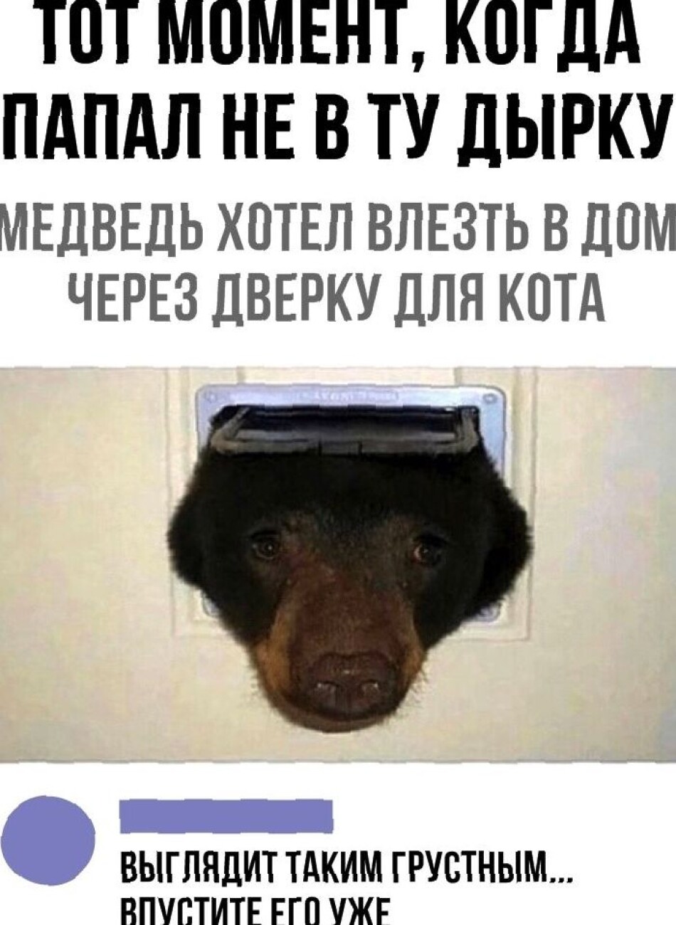 Приколы с надписями в картинках до слёз жизненные. Приколы с надписями в картинках до слёз жизненные.