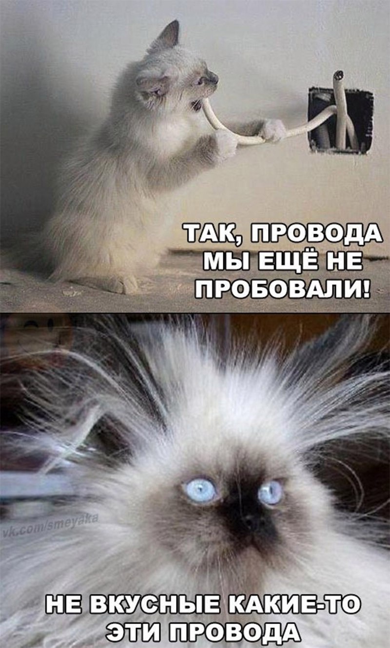 Мемные картинки с надписями. Мемные картинки с надписями.