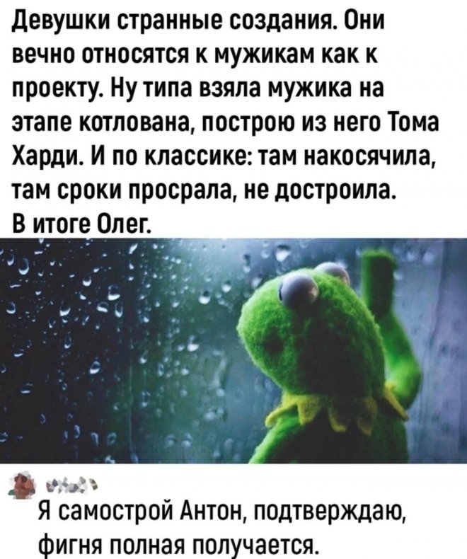 Фотоприколы и прикольные картинки. Фотоприколы и прикольные картинки.