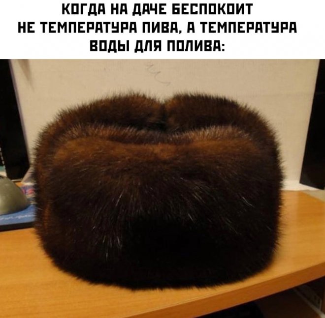 Подборка смешных и интересных картинок для тех кому не спится – Самые лучшие Подборка смешных и интересных картинок для тех кому не спится – Самые лучшие