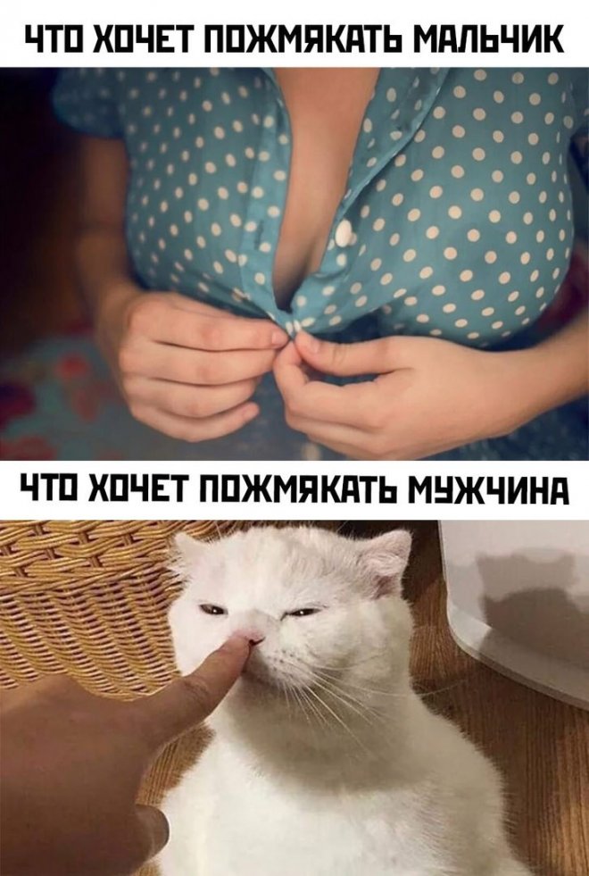 Приколы, Юмор, карнтинки на развлекательном портале Приколы, Юмор, карнтинки на развлекательном портале