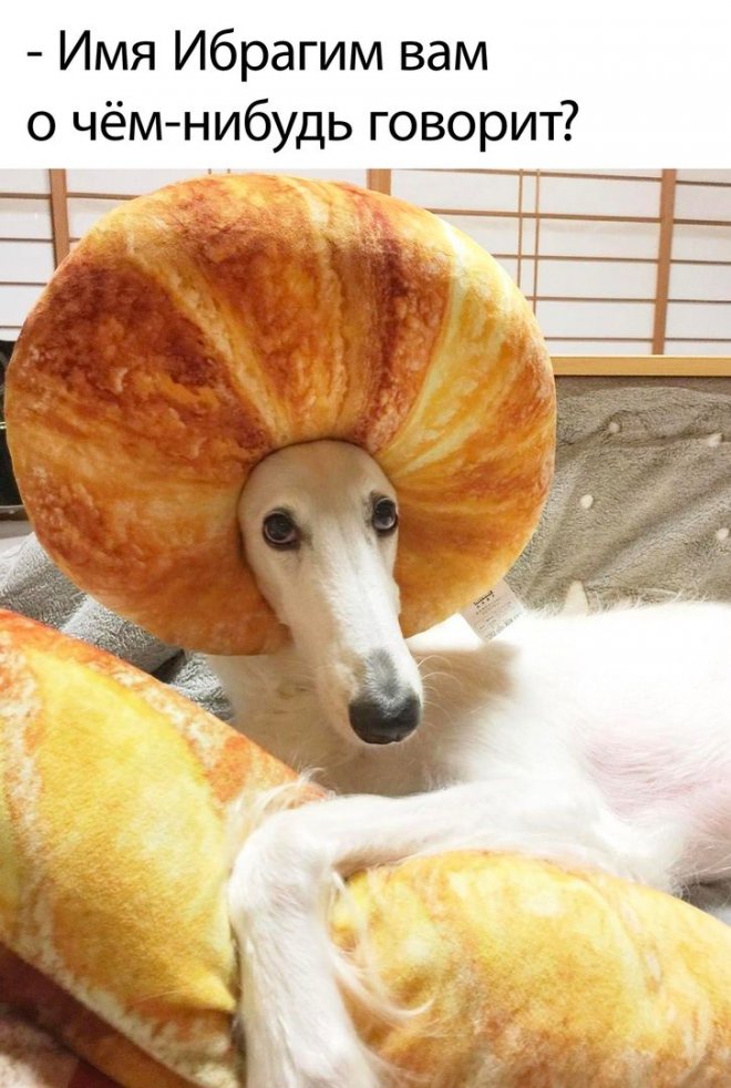 Смешные надписи для поднятия настроения Смешные надписи для поднятия настроения