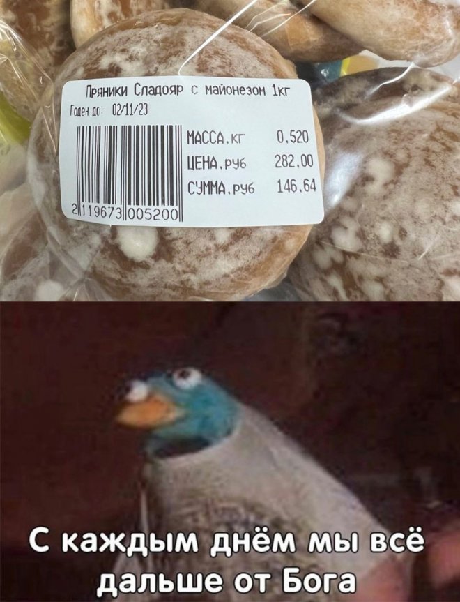 Смешные высказывания про жизнь в картинках. Смешные высказывания про жизнь в картинках.