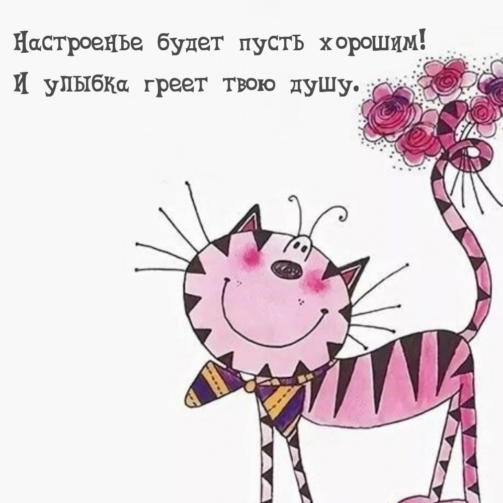 Короткие смешные фразы и прикольные остроумные выражения для поднятия настроения. Короткие смешные фразы и прикольные остроумные выражения для поднятия настроения.