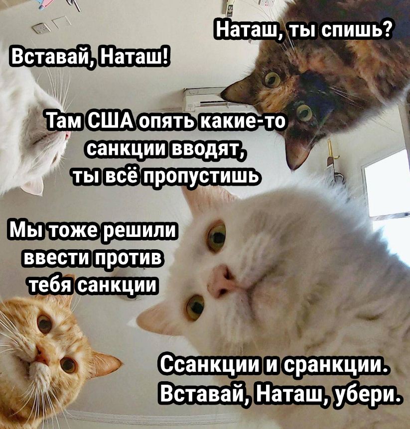 Шутки для поднятия настроения