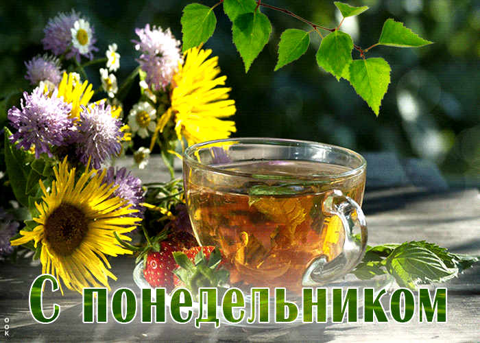 Магическая открытка С понедельником! Магическая открытка С понедельником!