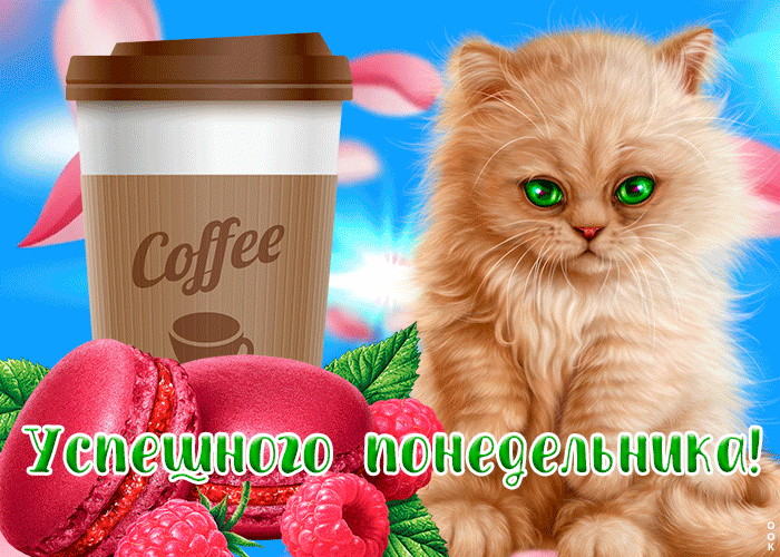 Картинка успешного понедельника с котиком Картинка успешного понедельника с котиком