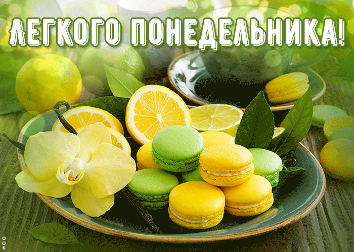 Картинка легкого понедельника Картинка легкого понедельника