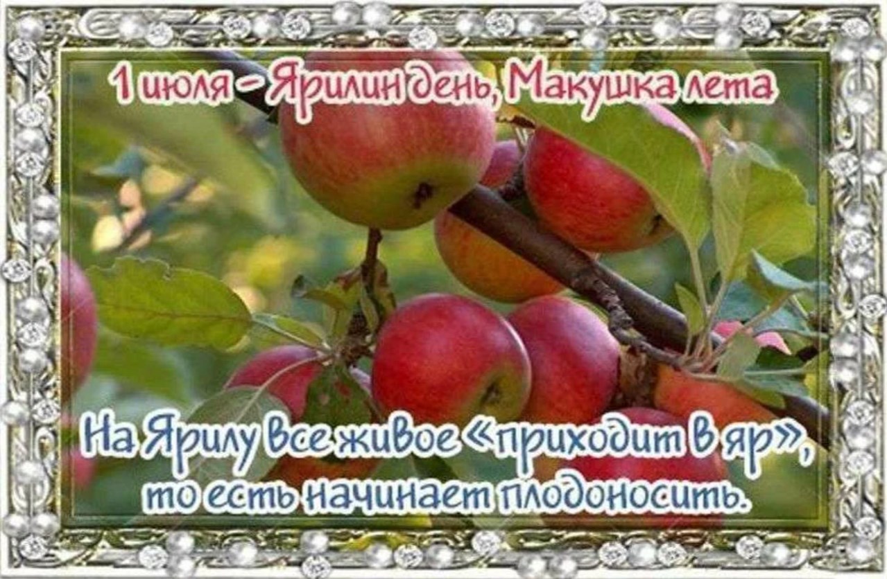 Макушка лета поздравление