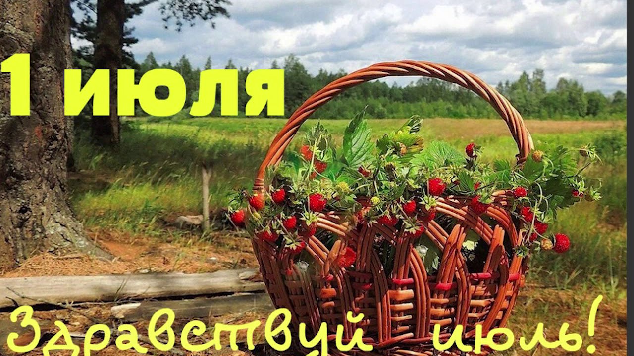 1 Июля макушка лета, Здравствуй июль.
