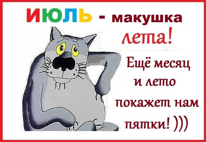 Смешные картинки и открытки Июль макушка лета с надписями.