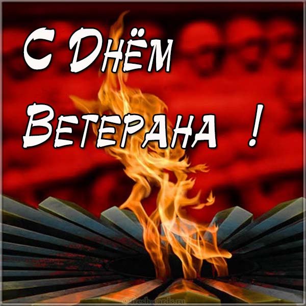 Картинка на день ветеранов боевых действий с поздравлением.