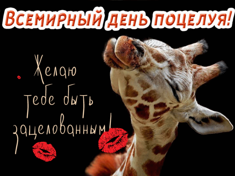 Лови море поцелуйчиков Лови море поцелуйчиков