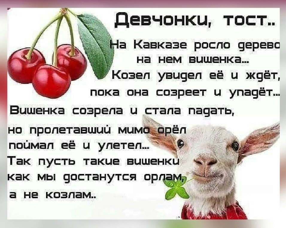 Хостинг картинок yapx.ru