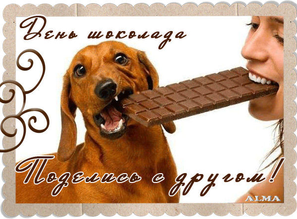 Гифки С ДНЕМ ШОКОЛАДА прикольные картинки, открытки, фото смешные. Гифки С ДНЕМ ШОКОЛАДА прикольные картинки, открытки, фото смешные.