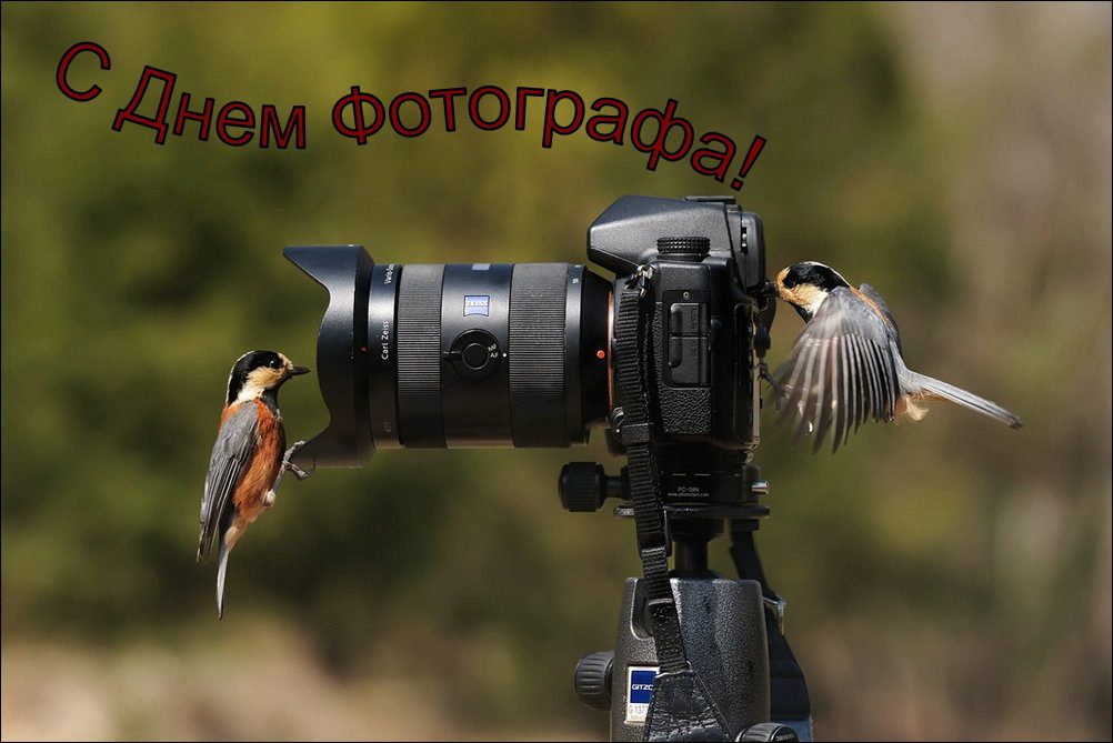 День Фотографа Фото День Фотографа Фото