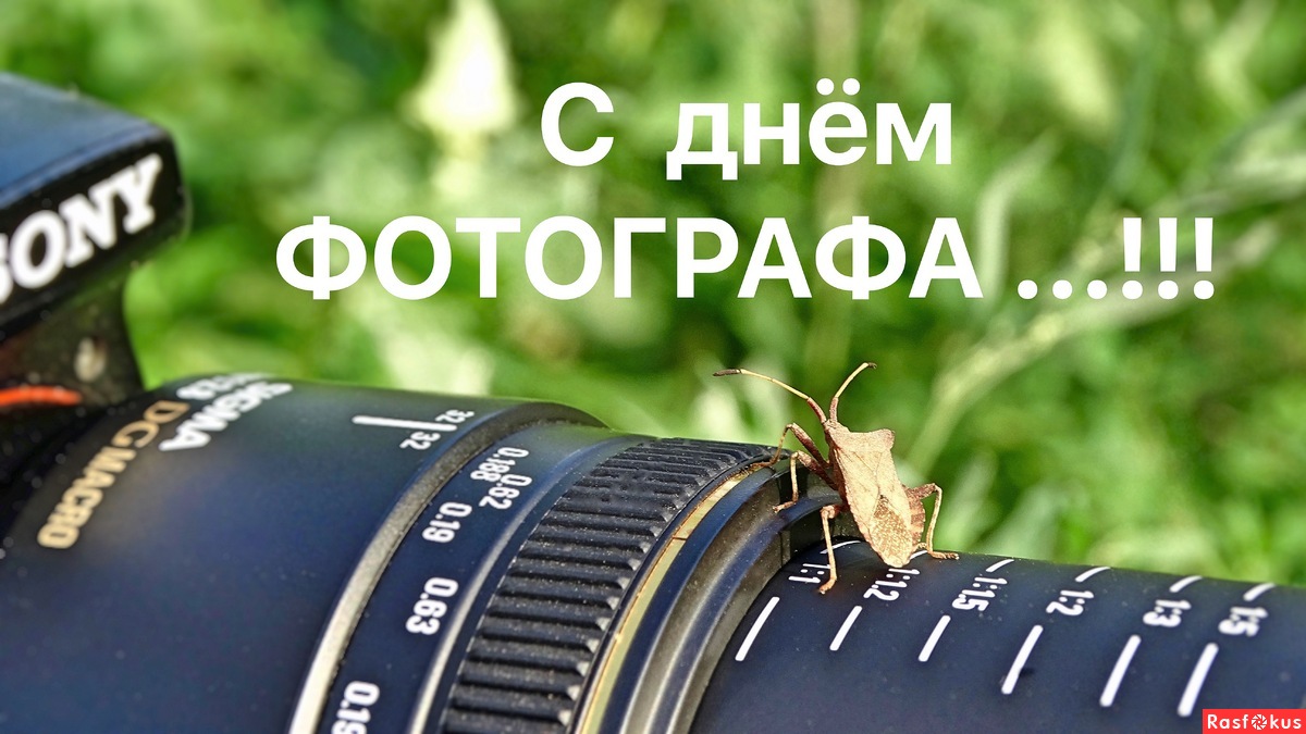 12 Июля день фотографа 12 Июля день фотографа