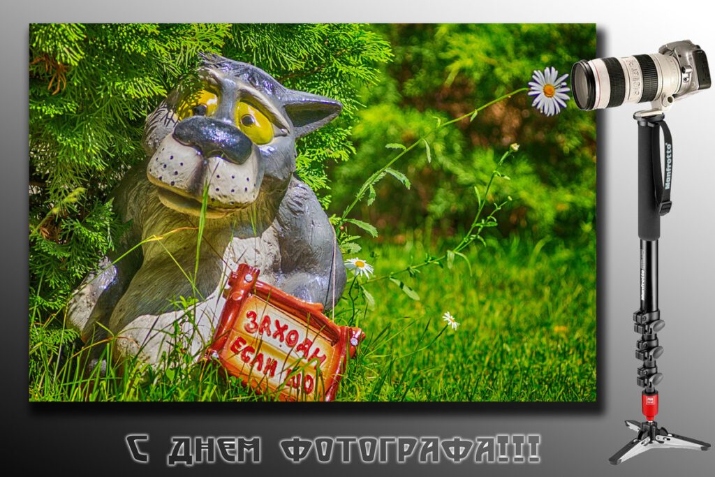 Поздравления в красивых открытках с надписями и пожеланиями, для бесплатного скачивания к празднику на 12 июля 2023. Поздравления в красивых открытках с надписями и пожеланиями, для бесплатного скачивания к празднику на 12 июля 2023.