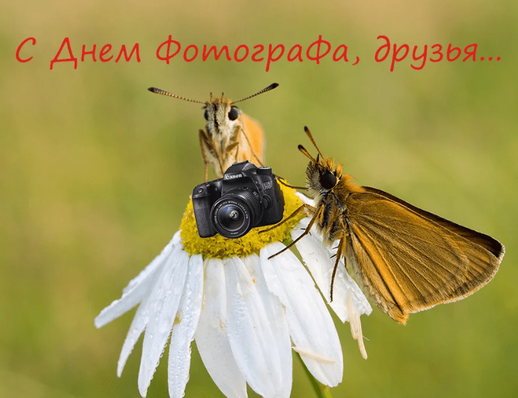 Картинки с Днем фотографа (40 фото). Картинки с Днем фотографа (40 фото).