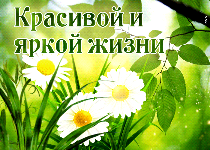 Гифка Яркая и энергичная открытка Красивой и яркой жизни!