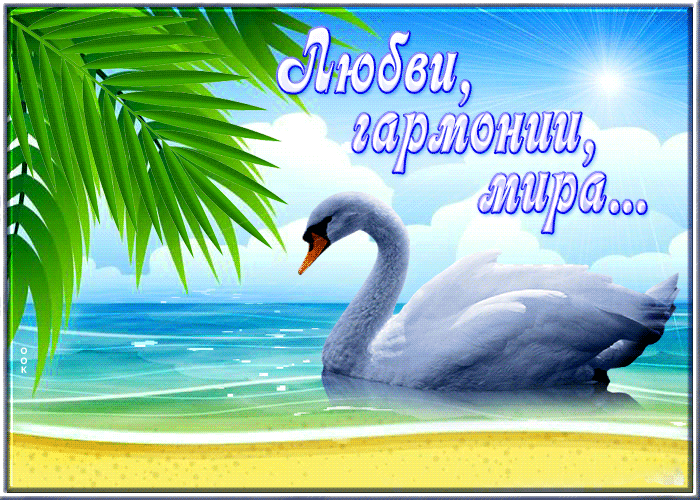 Гифка Уютная и умиротворяющая открытка Любви, гармонии, мира.