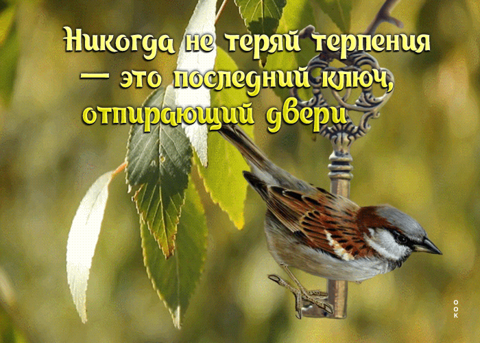 Гифка Никогда не теряй терпения - это последний ключ, отпирающий двери.