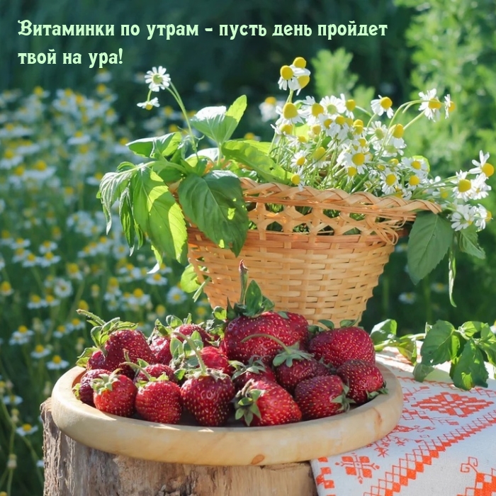 Доброе утро, самая волшебная и прекрасная женщина в моей жизни! Я хочу начать этот день, выражая свою искреннюю благодарность за все то, что ты делаешь для меня. Твоя любовь, забота и поддержка делают мою жизнь настоящим счастьем. Доброе утро, самая волшебная и прекрасная женщина в моей жизни! Я хочу начать этот день, выражая свою искреннюю благодарность за все то, что ты делаешь для меня. Твоя любовь, забота и поддержка делают мою жизнь настоящим счастьем.