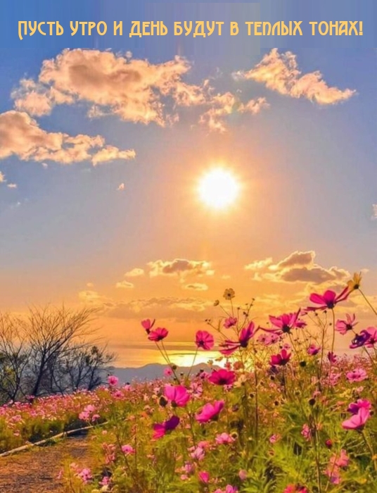 Пусть сегодняшний день будет полон возможностей и успехов. Ты достойна самого лучшего, поэтому не бойся мечтать и стремиться к своим целям. Я всегда буду поддерживать тебя и помогать воплощать в жизнь все твои мечты. Пусть сегодняшний день будет полон возможностей и успехов. Ты достойна самого лучшего, поэтому не бойся мечтать и стремиться к своим целям. Я всегда буду поддерживать тебя и помогать воплощать в жизнь все твои мечты.