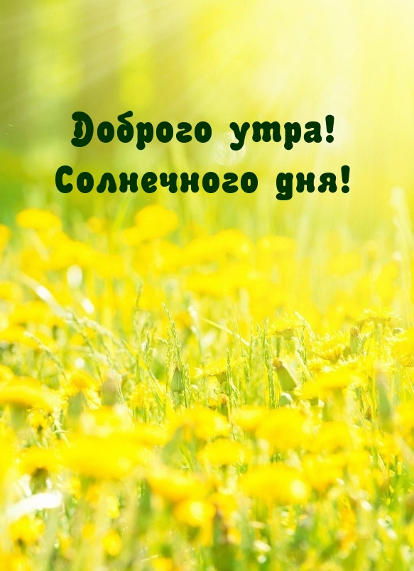 Не забывайте осознавать свои достижения и праздновать их. Не забывайте осознавать свои достижения и праздновать их.