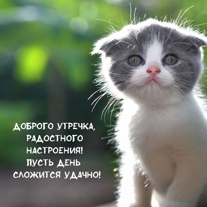 Помимо своих дел, найдите время для себя и наслаждайтесь моментом. Помимо своих дел, найдите время для себя и наслаждайтесь моментом.