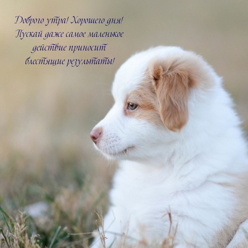 Сделайте пару глубоких вдохов свежего воздуха, прогуляйтесь по природе или насладитесь чашкой чая в тишине. Сделайте пару глубоких вдохов свежего воздуха, прогуляйтесь по природе или насладитесь чашкой чая в тишине.