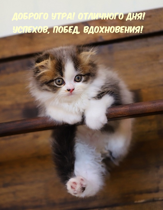 Используйте эту возможность, чтобы осознать, как богато и прекрасно жизнь вокруг нас. Используйте эту возможность, чтобы осознать, как богато и прекрасно жизнь вокруг нас.