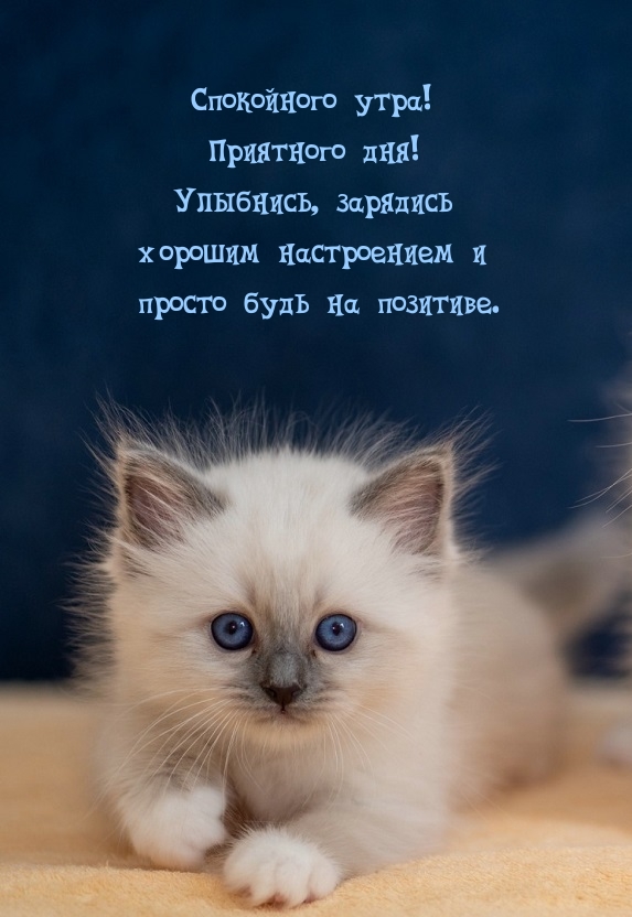 Пусть он будет наполнен радостью, успехом и всевозможными возможностями. Пусть он будет наполнен радостью, успехом и всевозможными возможностями.