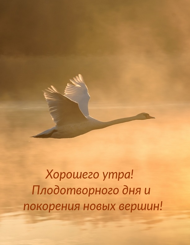 Доброе утро, дорогой мир, Просыпается снова заря. Я хочу пожелать тебе, Чтобы день был полон счастья. Доброе утро, дорогой мир, Просыпается снова заря. Я хочу пожелать тебе, Чтобы день был полон счастья.