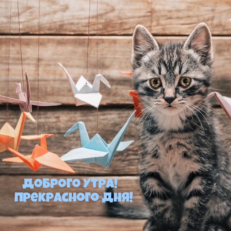 Пускай в сердце твоем мир царит, И добро тебе всегда сопутствует. Пусть в каждом мгновении жизни Ты радость и любовь прочувствуешь. Пускай в сердце твоем мир царит, И добро тебе всегда сопутствует. Пусть в каждом мгновении жизни Ты радость и любовь прочувствуешь.